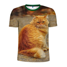 Мужская футболка 3D спортивная с принтом Рыжий кот в Екатеринбурге, 100% полиэстер с улучшенными характеристиками | приталенный силуэт, круглая горловина, широкие плечи, сужается к линии бедра | Тематика изображения на принте: коты | кошки