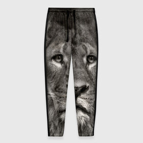 Мужские брюки 3D с принтом Лев в Екатеринбурге, 100% полиэстер | манжеты по низу, эластичный пояс регулируется шнурком, по бокам два кармана без застежек, внутренняя часть кармана из мелкой сетки | 
