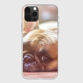 Чехол для iPhone 12 Pro Max с принтом французский бульдог в Екатеринбурге, Силикон |  | Тематика изображения на принте: dog | бульдог | друг | собака | язык