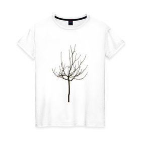 Женская футболка хлопок с принтом Веточка дерева в Екатеринбурге, 100% хлопок | прямой крой, круглый вырез горловины, длина до линии бедер, слегка спущенное плечо | ветка | дерево | класс | корки | круто | природа