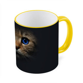 Кружка 3D с принтом Кот с синими глазами в Екатеринбурге, керамика | ёмкость 330 мл | кот | котенок | кошка | мордочка