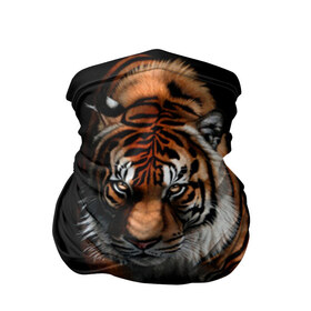 Бандана-труба 3D с принтом Tiger в Екатеринбурге, 100% полиэстер, ткань с особыми свойствами — Activecool | плотность 150‒180 г/м2; хорошо тянется, но сохраняет форму | Тематика изображения на принте: тигр