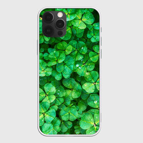 Чехол для iPhone 12 Pro Max с принтом клевер в Екатеринбурге, Силикон |  | зелень | ирландия | клевер | лето | листья | солнце | цветы