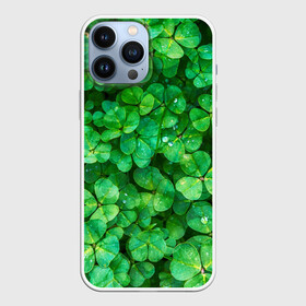 Чехол для iPhone 13 Pro Max с принтом клевер в Екатеринбурге,  |  | зелень | ирландия | клевер | лето | листья | солнце | цветы