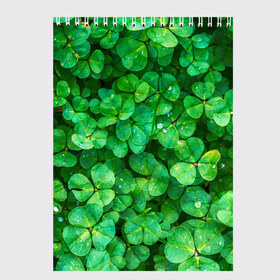 Скетчбук с принтом клевер в Екатеринбурге, 100% бумага
 | 48 листов, плотность листов — 100 г/м2, плотность картонной обложки — 250 г/м2. Листы скреплены сверху удобной пружинной спиралью | зелень | ирландия | клевер | лето | листья | солнце | цветы