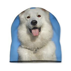 Шапка 3D с принтом белый пес в Екатеринбурге, 100% полиэстер | универсальный размер, печать по всей поверхности изделия | dog | friend | взгляд | волк | друг | пес | собака | хаски