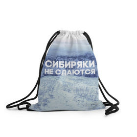 Рюкзак-мешок 3D с принтом Сибирь в Екатеринбурге, 100% полиэстер | плотность ткани — 200 г/м2, размер — 35 х 45 см; лямки — толстые шнурки, застежка на шнуровке, без карманов и подкладки | Тематика изображения на принте: сибирь