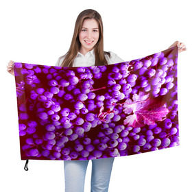 Флаг 3D с принтом Виноград в Екатеринбурге, 100% полиэстер | плотность ткани — 95 г/м2, размер — 67 х 109 см. Принт наносится с одной стороны | 