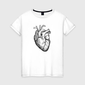 Женская футболка хлопок с принтом Heart в Екатеринбурге, 100% хлопок | прямой крой, круглый вырез горловины, длина до линии бедер, слегка спущенное плечо | вектор | карандаш | кардиология | кровь | мышца | орган | пульс | рисунок | сердце | черный