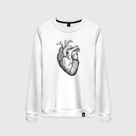 Женский свитшот хлопок с принтом Heart в Екатеринбурге, 100% хлопок | прямой крой, круглый вырез, на манжетах и по низу широкая трикотажная резинка  | вектор | карандаш | кардиология | кровь | мышца | орган | пульс | рисунок | сердце | черный