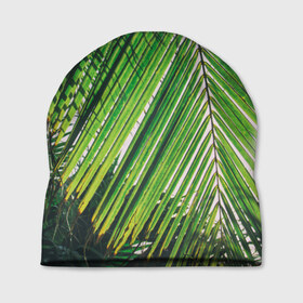 Шапка 3D с принтом пальмы в Екатеринбурге, 100% полиэстер | универсальный размер, печать по всей поверхности изделия | sea | summer | берег | лето | море | океан | отдых | пальмы | пляж | солнце