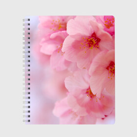 Тетрадь с принтом Сакура в Екатеринбурге, 100% бумага | 48 листов, плотность листов — 60 г/м2, плотность картонной обложки — 250 г/м2. Листы скреплены сбоку удобной пружинной спиралью. Уголки страниц и обложки скругленные. Цвет линий — светло-серый
 | весна | вишня | розовый | цветение | цветы | япония