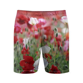 Мужские шорты 3D спортивные с принтом Маки в Екатеринбурге,  |  | field | flowers | meadow | poppies | red | white | белые | красные | луг | маки | поле | полевые | цветы