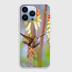 Чехол для iPhone 13 Pro с принтом Колибри в Екатеринбурге,  |  | лепесток | новая | природа | птичка | цветок | яркая