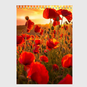 Скетчбук с принтом Маки в Екатеринбурге, 100% бумага
 | 48 листов, плотность листов — 100 г/м2, плотность картонной обложки — 250 г/м2. Листы скреплены сверху удобной пружинной спиралью | Тематика изображения на принте: field | flowers | meadow | nature | poppies | red | sky | summer | sun | sunset | wild | закат | красные | лето | луг | маки | небо | поле | полевые | природа | солнце | цветы