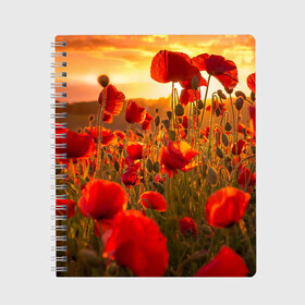 Тетрадь с принтом Маки в Екатеринбурге, 100% бумага | 48 листов, плотность листов — 60 г/м2, плотность картонной обложки — 250 г/м2. Листы скреплены сбоку удобной пружинной спиралью. Уголки страниц и обложки скругленные. Цвет линий — светло-серый
 | Тематика изображения на принте: field | flowers | meadow | nature | poppies | red | sky | summer | sun | sunset | wild | закат | красные | лето | луг | маки | небо | поле | полевые | природа | солнце | цветы