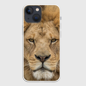 Чехол для iPhone 13 mini с принтом Лев в Екатеринбурге,  |  | грива | джунгли | животные | зверь | король | кровь | лев | охотник | хищник | царь