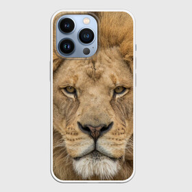 Чехол для iPhone 13 Pro с принтом Лев в Екатеринбурге,  |  | грива | джунгли | животные | зверь | король | кровь | лев | охотник | хищник | царь