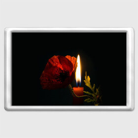 Магнит 45*70 с принтом Мак и свеча в Екатеринбурге, Пластик | Размер: 78*52 мм; Размер печати: 70*45 | маки | свеча | цветы