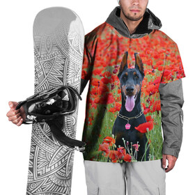 Накидка на куртку 3D с принтом Собака в поле маков в Екатеринбурге, 100% полиэстер |  | Тематика изображения на принте: 