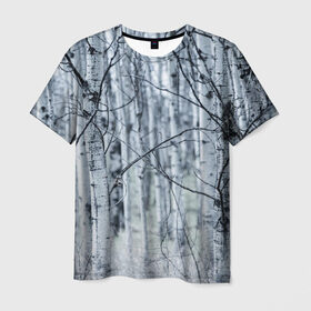 Мужская футболка 3D с принтом Русские берёзки в Екатеринбурге, 100% полиэфир | прямой крой, круглый вырез горловины, длина до линии бедер | береза | красиво | лес | природа | русская | русские | фото