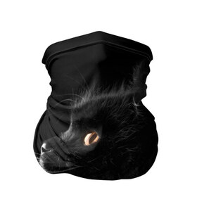 Бандана-труба 3D с принтом Милая кошечка в Екатеринбурге, 100% полиэстер, ткань с особыми свойствами — Activecool | плотность 150‒180 г/м2; хорошо тянется, но сохраняет форму | osfenemy | животное | животные | киса | кошечка | кошка | милая | мур | мяу | фото | черный