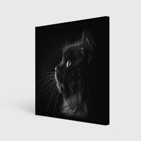 Холст квадратный с принтом Милая кошечка в Екатеринбурге, 100% ПВХ |  | osfenemy | животное | животные | киса | кошечка | кошка | милая | мур | мяу | фото | черный