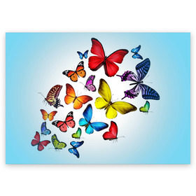 Поздравительная открытка с принтом Butterflies в Екатеринбурге, 100% бумага | плотность бумаги 280 г/м2, матовая, на обратной стороне линовка и место для марки
 | бабочки | белый | картинка | лето | природа | рисунок | розовый | цвета