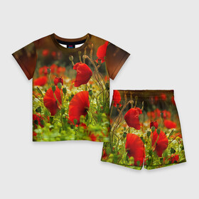 Детский костюм с шортами 3D с принтом Маки в Екатеринбурге,  |  | field | flowers | meadow | nature | poppies | poppy | red | summer | wild | красные | лето | луг | мак | маки | поле | полевые | природа | цветы