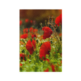 Обложка для паспорта матовая кожа с принтом Маки в Екатеринбурге, натуральная матовая кожа | размер 19,3 х 13,7 см; прозрачные пластиковые крепления | Тематика изображения на принте: field | flowers | meadow | nature | poppies | poppy | red | summer | wild | красные | лето | луг | мак | маки | поле | полевые | природа | цветы