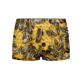 Мужские трусы 3D с принтом Пчела в Екатеринбурге, 50% хлопок, 50% полиэстер | классическая посадка, на поясе мягкая тканевая резинка | лето | мед | насекомые | оса | природа | пчелы | шмель