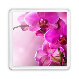Магнит 55*55 с принтом Орхидея в Екатеринбурге, Пластик | Размер: 65*65 мм; Размер печати: 55*55 мм | Тематика изображения на принте: 