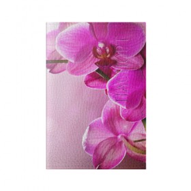 Обложка для паспорта матовая кожа с принтом Орхидея в Екатеринбурге, натуральная матовая кожа | размер 19,3 х 13,7 см; прозрачные пластиковые крепления | 
