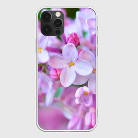 Чехол для iPhone 12 Pro Max с принтом Сирень в Екатеринбурге, Силикон |  | лепестки | прикольные картинки | цветочки | цветы