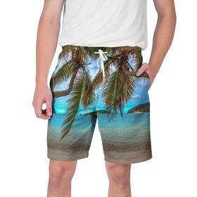 Мужские шорты 3D с принтом Пальма в Екатеринбурге,  полиэстер 100% | прямой крой, два кармана без застежек по бокам. Мягкая трикотажная резинка на поясе, внутри которой широкие завязки. Длина чуть выше колен | море | отдых | отпуск | пальмы | пляж | солнце | туризм