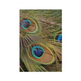 Обложка для паспорта матовая кожа с принтом перо павлина в Екатеринбурге, натуральная матовая кожа | размер 19,3 х 13,7 см; прозрачные пластиковые крепления | павлин | перо | перышки | птица