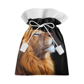 Подарочный 3D мешок с принтом Лев в Екатеринбурге, 100% полиэстер | Размер: 29*39 см | lion | лев | хищник
