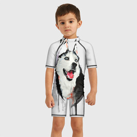 Детский купальный костюм 3D с принтом Хаски в Екатеринбурге, Полиэстер 85%, Спандекс 15% | застежка на молнии на спине | голова животного | кутёнок | прикольные картинки | собака | щенок