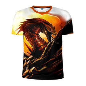 Мужская футболка 3D спортивная с принтом Дракон в Екатеринбурге, 100% полиэстер с улучшенными характеристиками | приталенный силуэт, круглая горловина, широкие плечи, сужается к линии бедра | дракон | змей | монстр | огонь | пламя | прикольные картинки