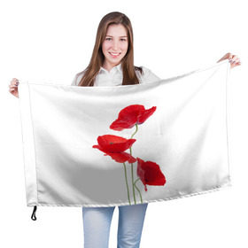 Флаг 3D с принтом Маки в Екатеринбурге, 100% полиэстер | плотность ткани — 95 г/м2, размер — 67 х 109 см. Принт наносится с одной стороны | field | flowers | poppies | poppy | red | wild | красные | мак | маки | поле | полевые | цветы