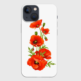 Чехол для iPhone 13 mini с принтом Маки в Екатеринбурге,  |  | field | flowers | poppies | poppy | red | wild | красные | мак | маки | поле | полевые | цветы