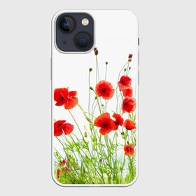 Чехол для iPhone 13 mini с принтом Маки в Екатеринбурге,  |  | field | flowers | meadow | nature | poppies | poppy | red | summer | wild | красные | лето | луг | мак | маки | поле | полевые | природа | цветы