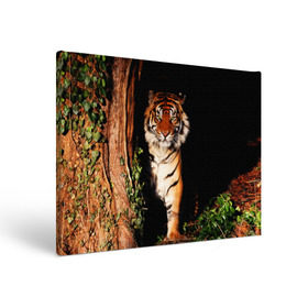 Холст прямоугольный с принтом Тигр в Екатеринбурге, 100% ПВХ |  | Тематика изображения на принте: дикая кошка | лес | природа | тигр | хищник