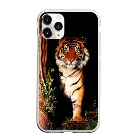 Чехол для iPhone 11 Pro Max матовый с принтом Тигр в Екатеринбурге, Силикон |  | дикая кошка | лес | природа | тигр | хищник