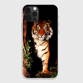 Чехол для iPhone 12 Pro с принтом Тигр в Екатеринбурге, силикон | область печати: задняя сторона чехла, без боковых панелей | Тематика изображения на принте: дикая кошка | лес | природа | тигр | хищник