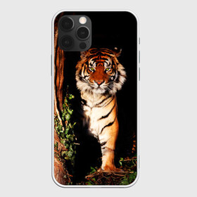 Чехол для iPhone 12 Pro Max с принтом Тигр в Екатеринбурге, Силикон |  | Тематика изображения на принте: дикая кошка | лес | природа | тигр | хищник