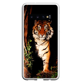 Чехол для Samsung Galaxy S10 с принтом Тигр в Екатеринбурге, Силикон | Область печати: задняя сторона чехла, без боковых панелей | Тематика изображения на принте: дикая кошка | лес | природа | тигр | хищник
