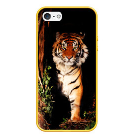 Чехол для iPhone 5/5S матовый с принтом Тигр в Екатеринбурге, Силикон | Область печати: задняя сторона чехла, без боковых панелей | дикая кошка | лес | природа | тигр | хищник