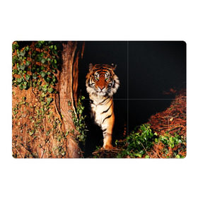 Магнитный плакат 3Х2 с принтом Тигр в Екатеринбурге, Полимерный материал с магнитным слоем | 6 деталей размером 9*9 см | Тематика изображения на принте: дикая кошка | лес | природа | тигр | хищник