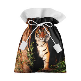 Подарочный 3D мешок с принтом Тигр в Екатеринбурге, 100% полиэстер | Размер: 29*39 см | дикая кошка | лес | природа | тигр | хищник